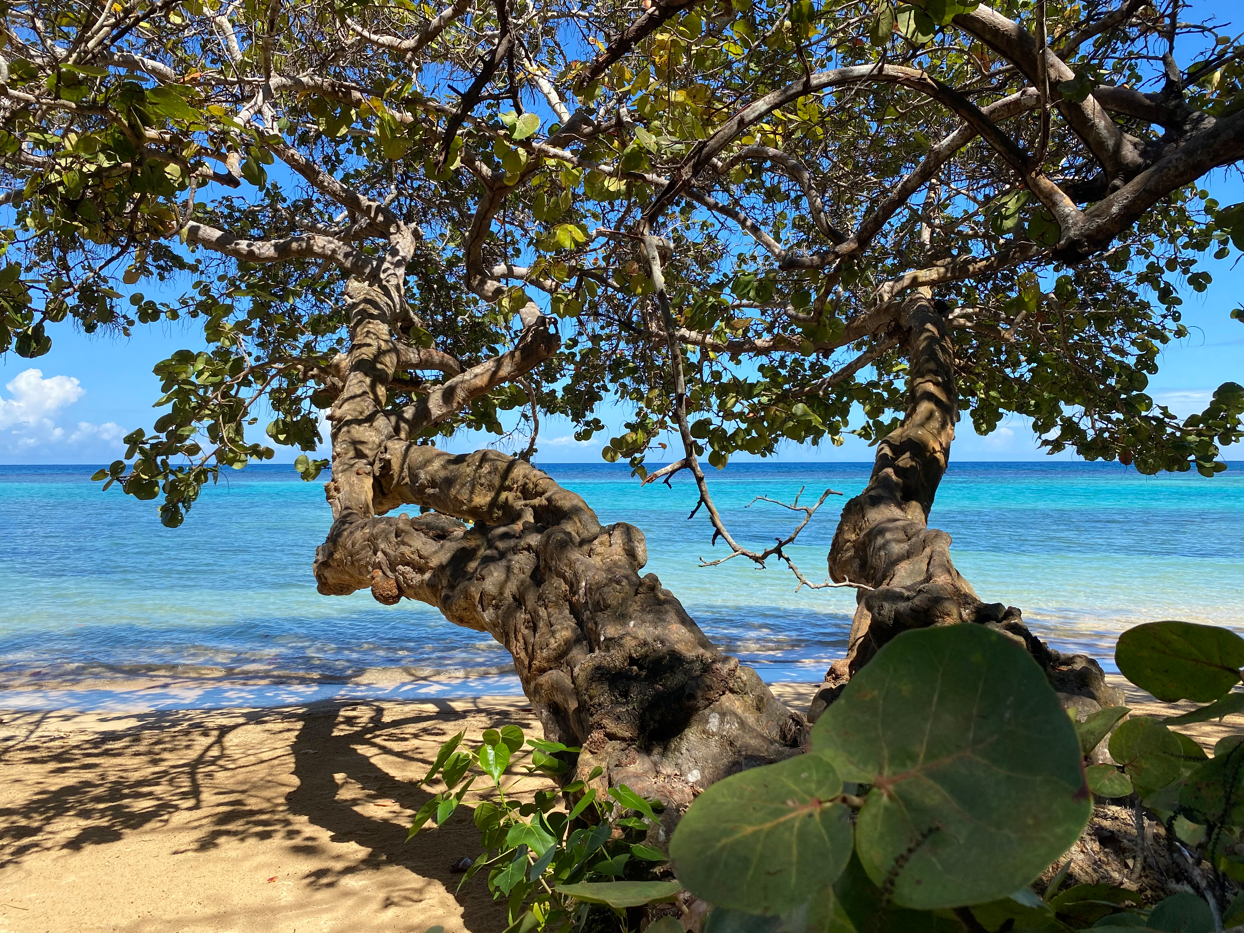 Jamaika - Dunn´s River Beach Jamaika - Dunn´s River Beach